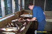 DCP_0182.JPG